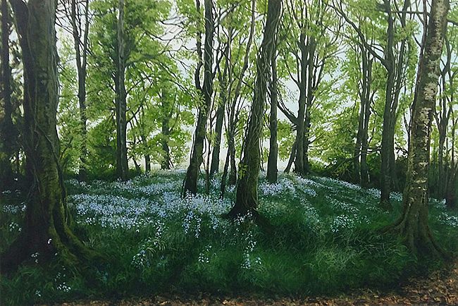 Ger O'Reilly - Bluebell Woods